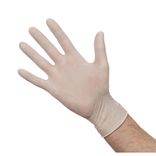 Powdered Latex Gloves L (Pack of 100) (A228-L)
