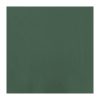 Fasana Dinner Napkins Green 400mm (Pack of 1000) (CC589)