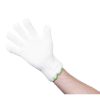 Heat Resistant Glove (CE164)