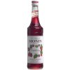 Monin Syrup Raspberry (CF718)