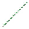Fiesta Green Compostable Paper Straws Green Stripes (Pack of 250) (DE928)