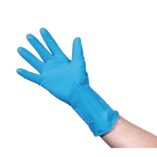 Jantex Household Glove Blue Large (F953-L)