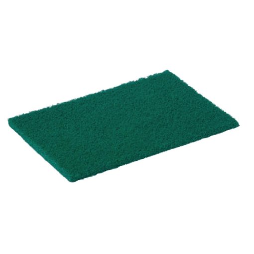 Jantex Scourer Green (Pack of 10) (F959)