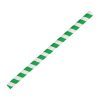 Fiesta Green Compostable Paper Smoothie Straws Green Stripes (Pack of 250) (FB148)