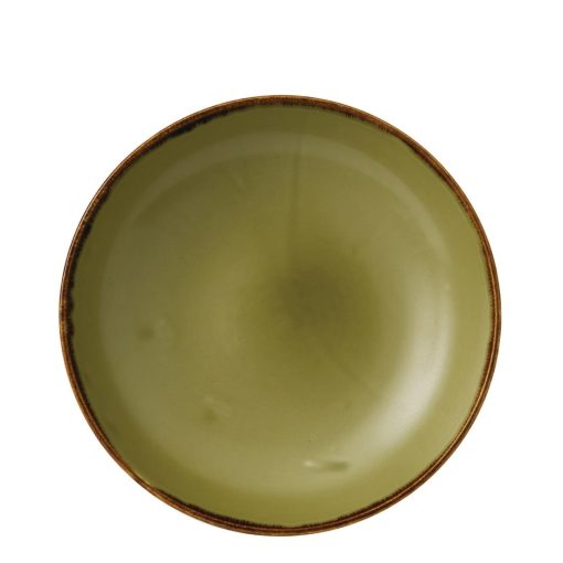 Dudson Harvest Evolve Coupe Bowls Green 248mm (Pack of 12) (FC044)
