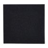 Fiesta Tablin Premium Airlaid Cocktail Napkins Black 240mm (Pack of 2400) (FE263)