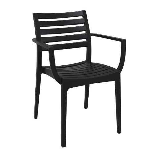 Artemis Arm Chair Black (Pack of 2) (FS445)