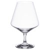 Schott Zwiesel Pure Crystal Cognac Glasses 616ml (Pack of 6) (GD905)