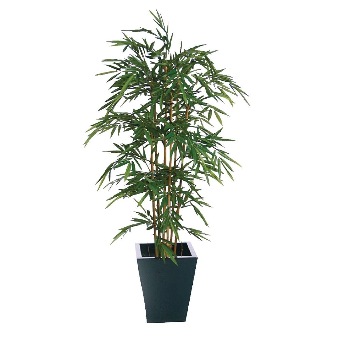 Natural Bamboo 1800mm (CC576)