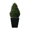 Artificial Topiary Buxus Pyramid 900mm (CD159)
