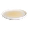 Olympia Fondant Plate Lemon - 215mm 8 1-2 Box 6 (CU415)