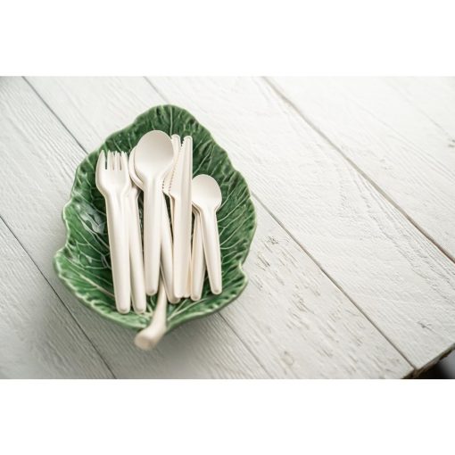 Sabert Recyclable Paper Cutlery Tea Spoon Pack of 1000 (CU497)