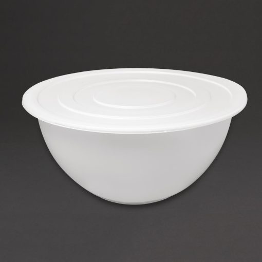 Schneider Plastic Mixing Bowl 13Ltr (DR545)