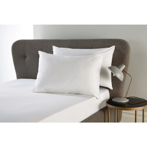 Eco Recycled Hollowfibre Pillow Firm (HD216)