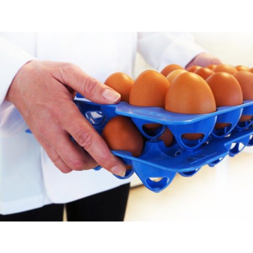 Araven Egg Storage Tray GN 2-3 Pack of 4 (DP208)