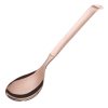 Amefa Buffet Large Salad Spoon Copper Pack of 12 (DX649)