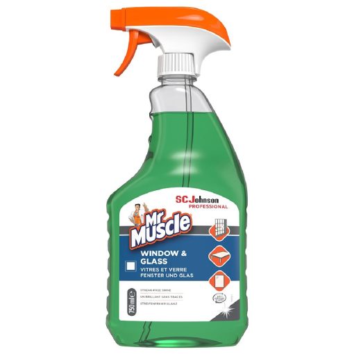 Mr Muscle Window and Glasses Cleaner 750ml (DX524)