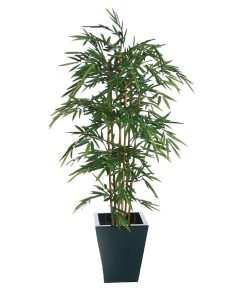 Natural Bamboo 1200mm (CC574)