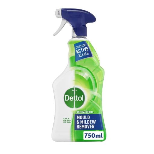 Dettol Pro Antibacterial Mould and Mildew Remover 750ml (CU995)