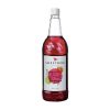 Sweetbird Dragonfruit and Papaya Syrup 1Ltr Bottle (GP393)