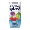 Radnor Splash Tetra Apple and Raspberry 250ml Pack of 24 (HP972)