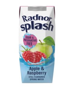 Radnor Splash Tetra Apple and Raspberry 250ml Pack of 24 (HP972)