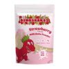 Dinoshakes Milkshake Powder Strawberry 1kg (HT822)