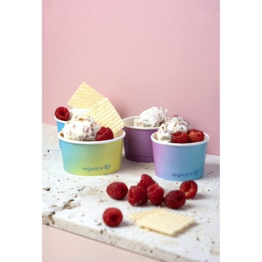 Vegware Single Scoop Ice Cream Pot Tutti Frutti 4oz Pack of 1000 (HX483)