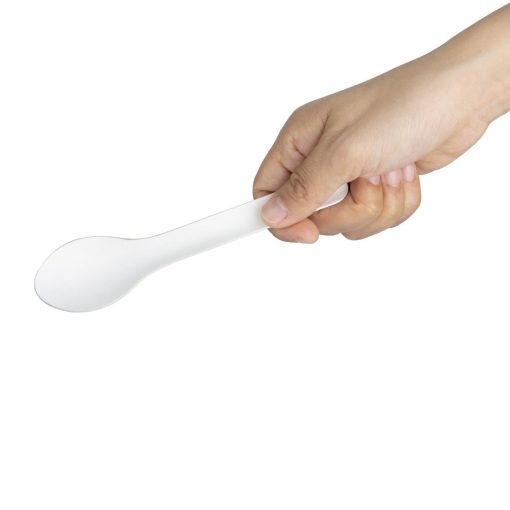 Fiesta Compostable Paper Spoons 150mm Pack of 100 (HT485)