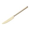 Amefa Metropole Champagne Table Knives Pack of 12 (HY056)