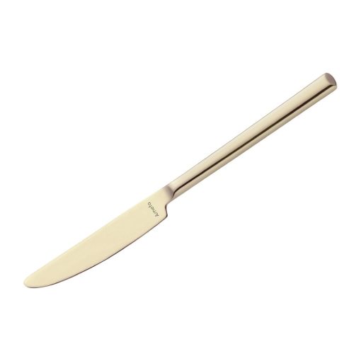 Amefa Metropole Champagne Table Knives Pack of 12 (HY056)