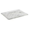 APS Takashi Sushi Board Clear Glass 230x180mm (HY316)