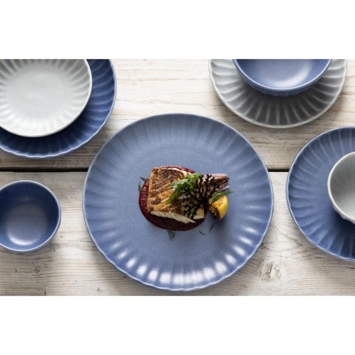 Olympia Corallite Plates Blue 205mm Pack of 6 (FU201)