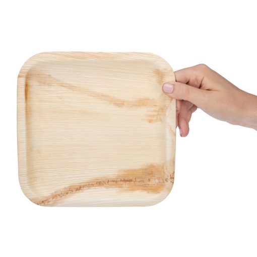 Fiesta Compostable Palm Leaf Plates Square 200mm Pack of 100 (HT872)