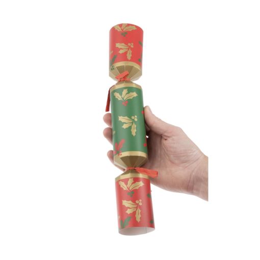 Fiesta Recyclable Plastic Free Christmas Crackers 12 Pack of 25 (HW959)