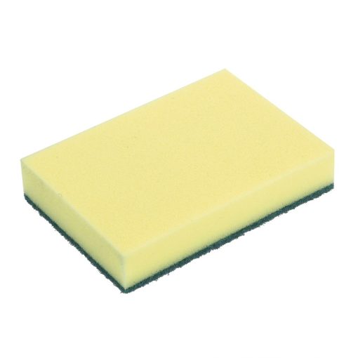 Jantex Foam Scourers Pack of 10 (HX273)