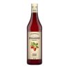 ODK Strawberry Syrup 750ml (KA572)