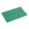 Jantex Green 100 Recycled Scouring Pads 9x6 Pack of 10 (HW010)