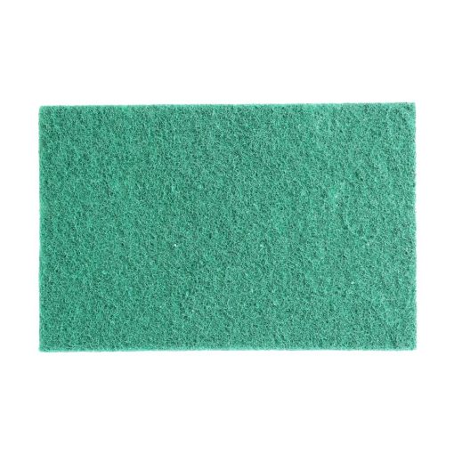 Jantex Green 100 Recycled Scouring Pads 9x6 Pack of 10 (HW010)