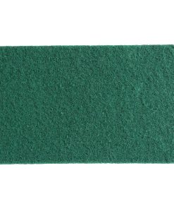 Jantex Small Scouring Pads - Green 10 pack (HX234)