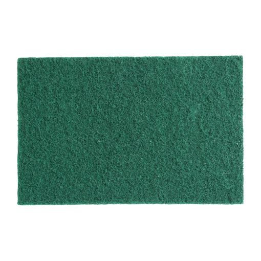 Jantex Small Scouring Pads - Green 10 pack (HX234)