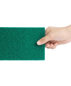 Jantex Small Scouring Pads - Green 10 pack (HX234)