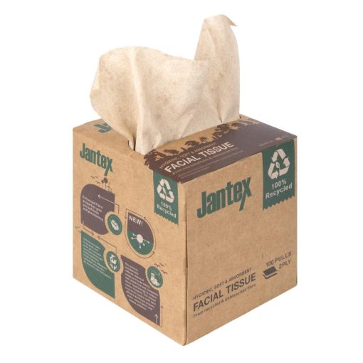 Jantex Green 100 Recycled Facial Tissue Cube 100 Sheets 36 Pack (HX931)