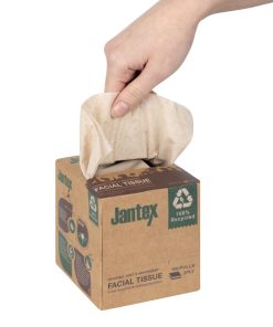 Jantex Green 100 Recycled Facial Tissue Cube 100 Sheets 36 Pack (HX931)