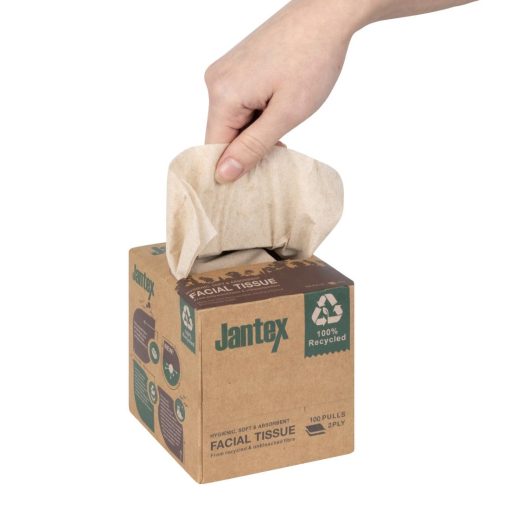 Jantex Green 100 Recycled Facial Tissue Cube 100 Sheets 36 Pack (HX931)