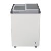 Liebherr EFE 1500 Sliding Door Ice Cream Chest Freezer 121Ltr (JB404)