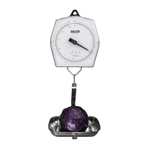 Brecknell 235-10S Mechanical Hanging Scale 5KG (DP047)
