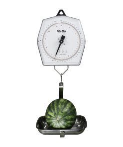 Brecknell 235-10S Mechanical Hanging Scale 5KG (DP047)