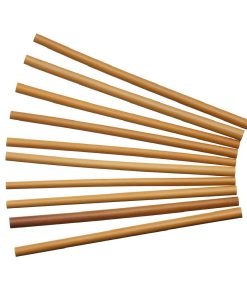 Natural Elements Bamboo Straw with Cleaners 10 Piece Set (DX351)
