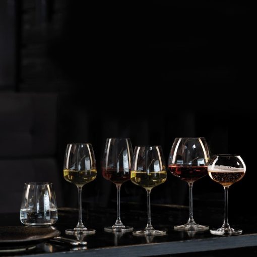 Royal Leerdam Experts White Wine Glasses 290ml-10-25oz 6 Pack (DX937)